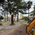 WhatsApp Image 2025-10-22 at 10.27.51 (1)